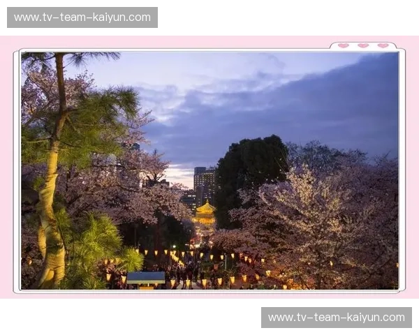 樱花与海风的交响：水原与大阪，一场关西的魅力对决